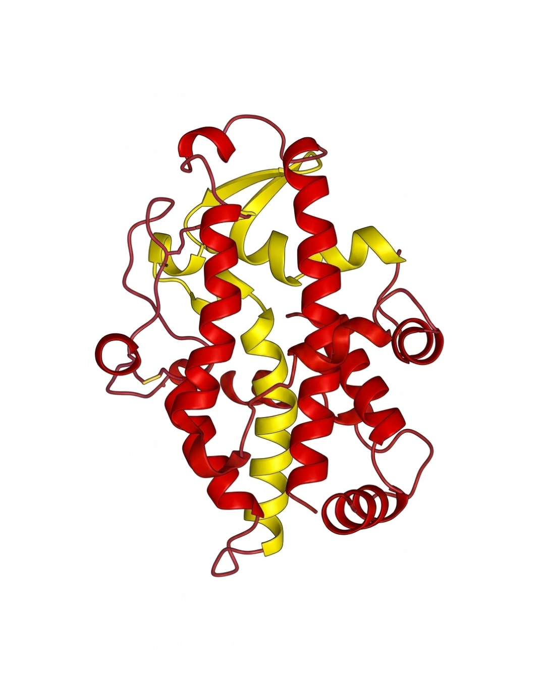 Digestion & removal of unwanted nucleic acids