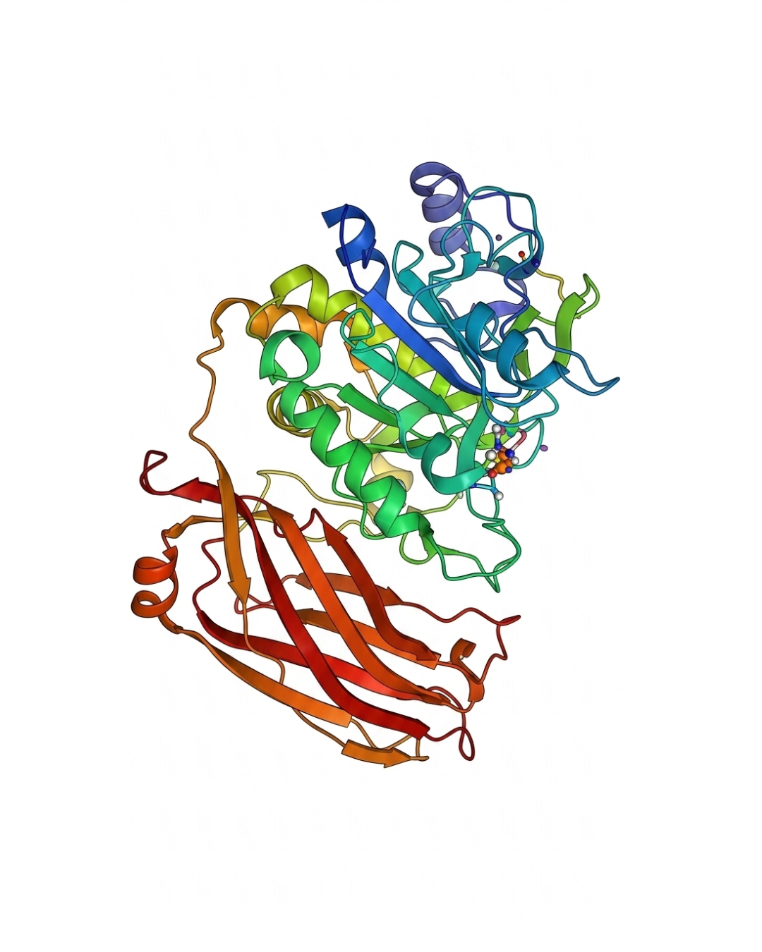 Nucleic acid extraction & purification 