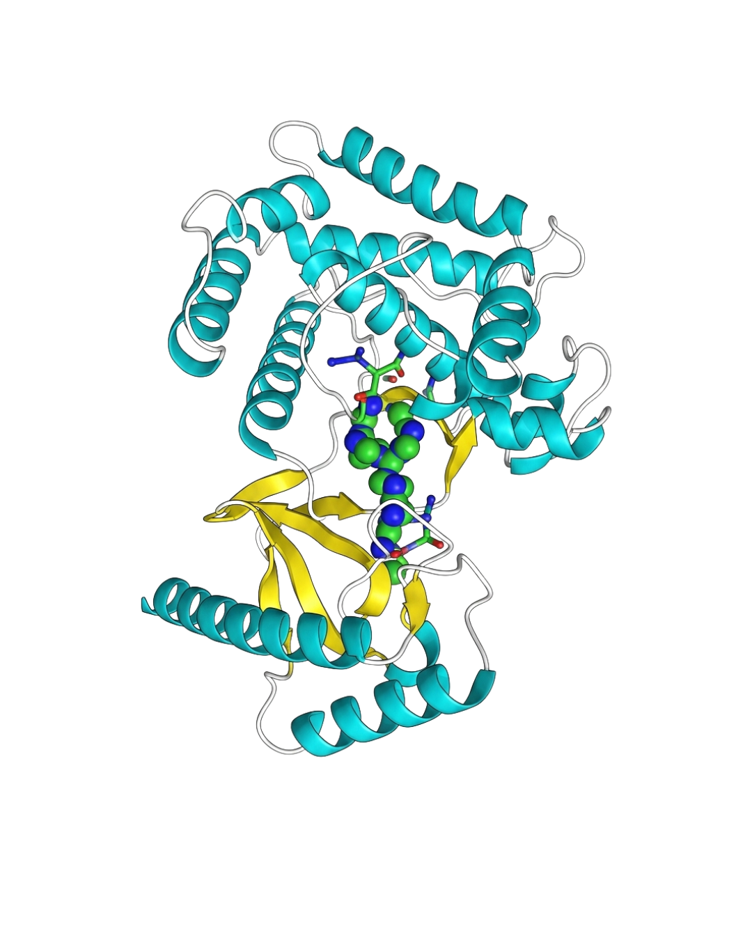 Glycoprotein analysis