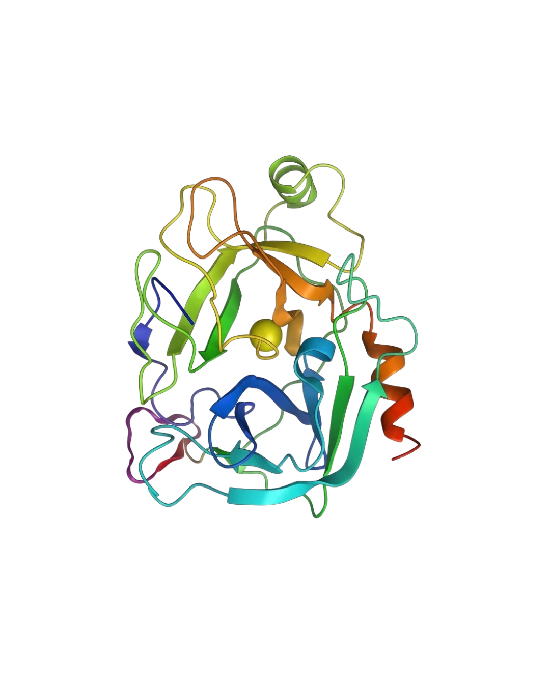 Insulin & Vaccine production